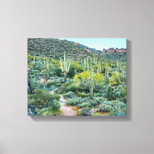 Arizona Desert Hiking Saguaro Cactus Forest 14x11 Canvas Print