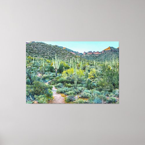 Arizona Desert Hiking Saguaro Cactus Forest 60x40 Canvas Print