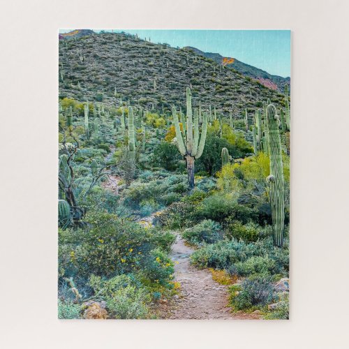 Arizona Desert Hiking Trail Saguaro Cactus Forest Jigsaw Puzzle