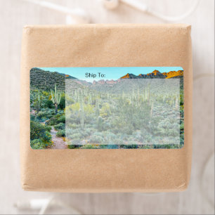 Arizona Desert Hiking Trail Saguaro Cactus Forest Label