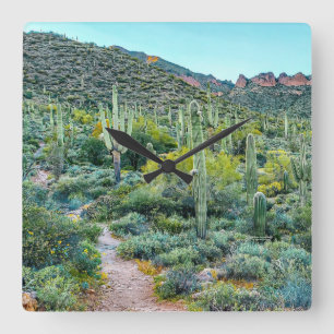 Arizona Desert Hiking Trail Saguaro Cactus Forest Square Wall Clock