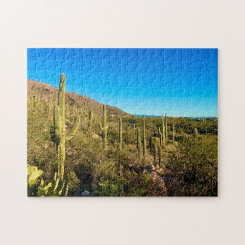 Arizona Desert  Jigsaw Puzzle