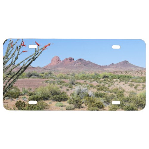 Arizona Desert Landscape License Plate
