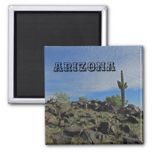 Arizona Desert Landscape Photo Saguaro Cactus Magnet