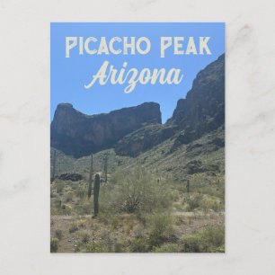 Arizona Desert Landscape Saguaro Cactus Nature Postcard