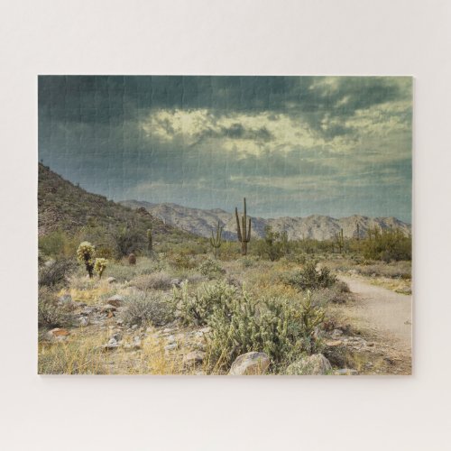 Arizona Desert Landscape with Sun Rays Jigsaw Puzzle