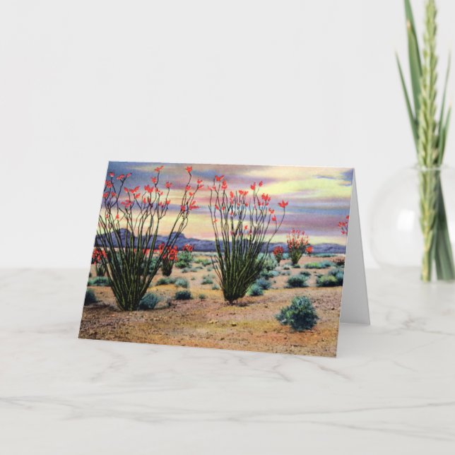 Arizona Desert Ocotillos in Bloom Card (Front)