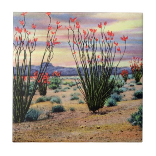 Arizona Desert Ocotillos in Bloom Tile