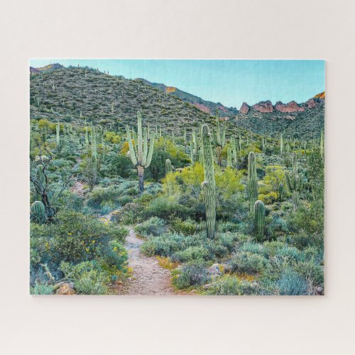 Arizona Desert Saguaro Cactus Forest Hiking Trail Jigsaw Puzzle