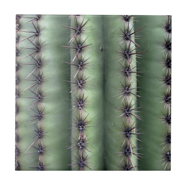 Arizona Desert Saguaro Cactus Green Ceramic Tile (Front)
