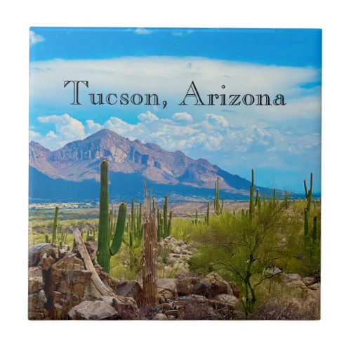 Arizona Desert Southwest  Ceramic Tile