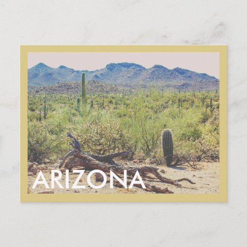 Arizona Desert Vintage Travel Postcard