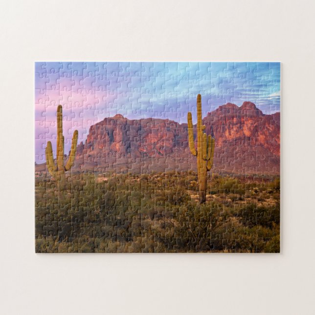 Arizona Esthetic Sunset Pictures Phoenix Cactus Jigsaw Puzzle (Horizontal)