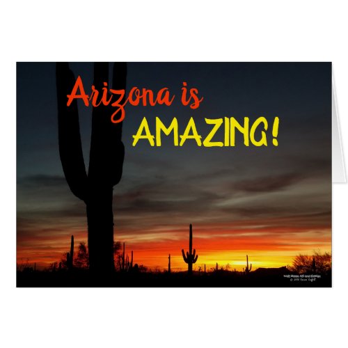 Arizona is Amazing Sunset Sonoran Desert Cactus