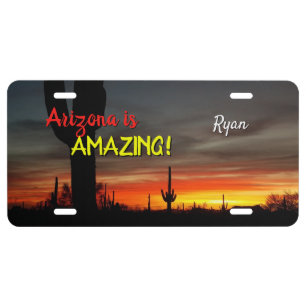 "Arizona is Amazing!" Sunset Sonoran Desert Cactus License Plate