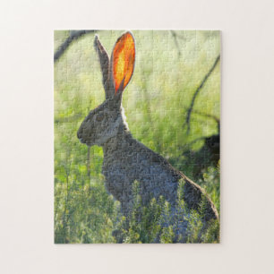 Arizona Jack Rabbit. Jigsaw Puzzle