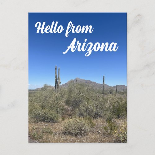 Arizona Landscape Saguaro Cactus Nature Postcard