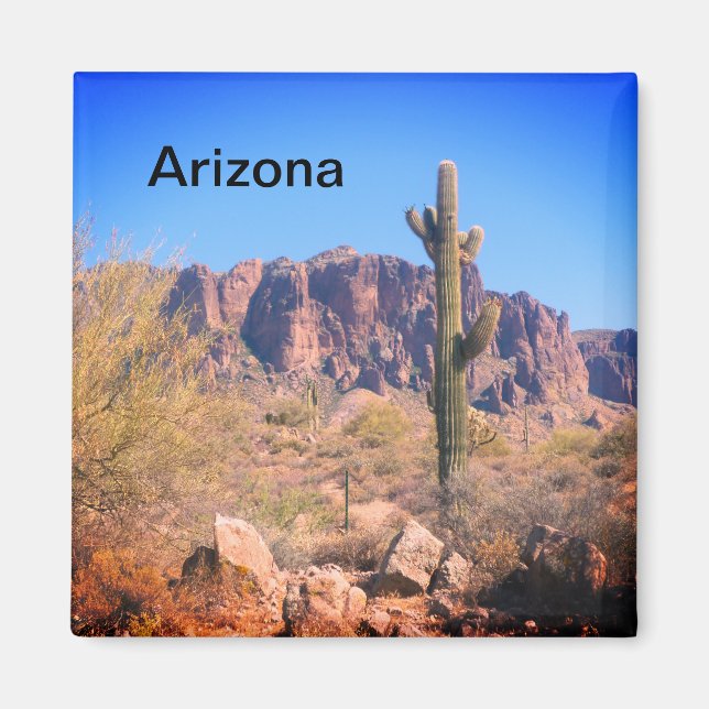 Arizona Lone Cactus Magnet (Front)
