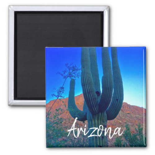 Arizona Morning Saguaro Cactus Magnet
