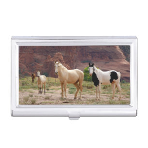 Arizona, Navajo Indian Reservation, Chinle, Case For Business Cards