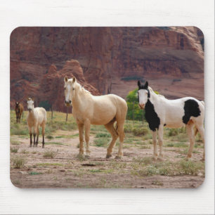 Arizona, Navajo Indian Reservation, Chinle, Mouse Pad