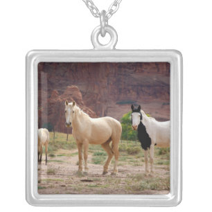 Arizona, Navajo Indian Reservation, Chinle, Silver Plated Necklace