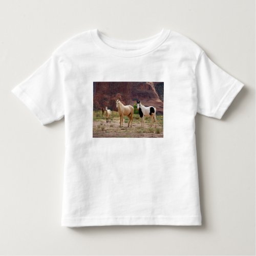 Arizona Navajo Indian Reservation Chinle Toddler T_shirt