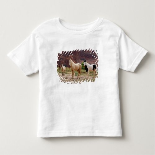 Arizona Navajo Indian Reservation Chinle Toddler T_shirt