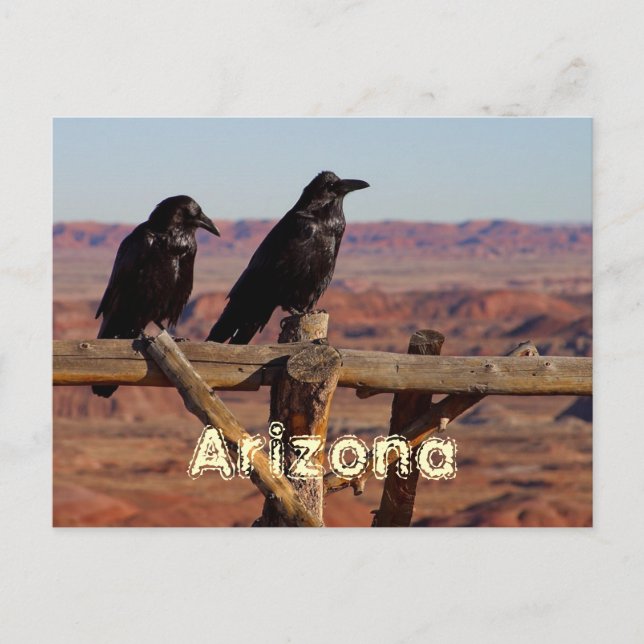 Arizona Postcard (Front)