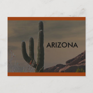 ARIZONA POSTCARD