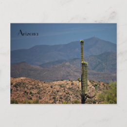 Arizona Postcard