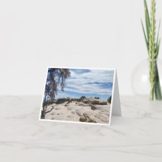 Arizona Postcard 11