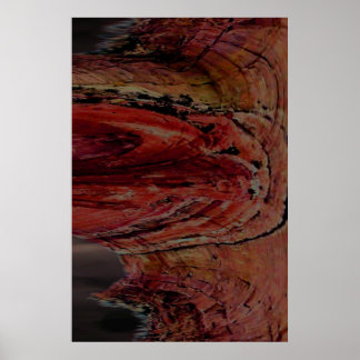 Arizona Poster