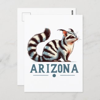 Arizona, Ringtail, Postcrossing