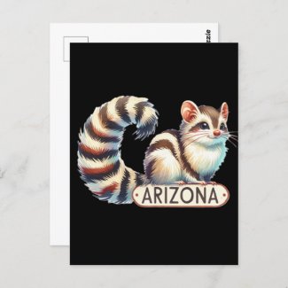 Arizona, Ringtail, Postcrossing