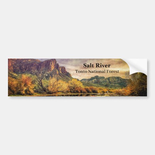 Arizona River Sonoran Desert Mountains Digital Art Bumper Sticker