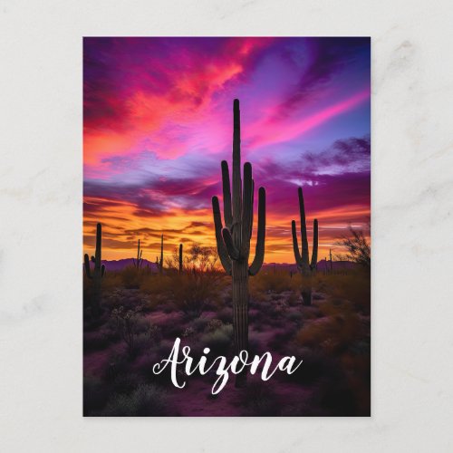 Arizona Saguaro Cactus Southwestern Desert Sunset Postcard