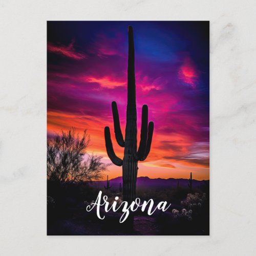 Arizona Saguaro Cactus Southwestern Desert Sunset Postcard