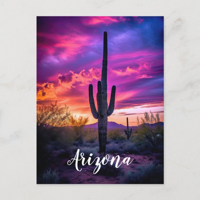 Arizona Saguaro Cactus Southwestern Desert Sunset Postcard (Front)