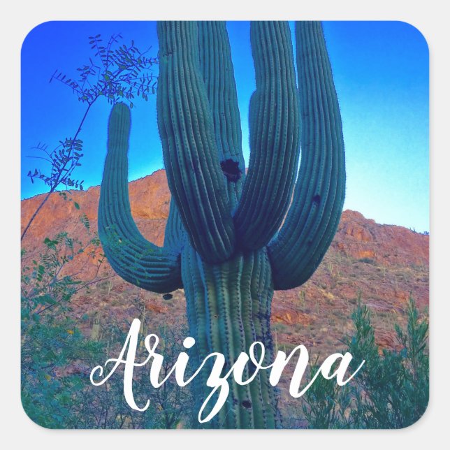 Arizona Saguaro Cactus Square Sticker (Front)