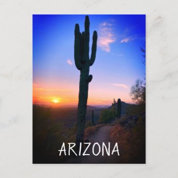 Arizona Saguaro Cactus Sunset Souvenir Travel Postcard by azlaird at Zazzle
