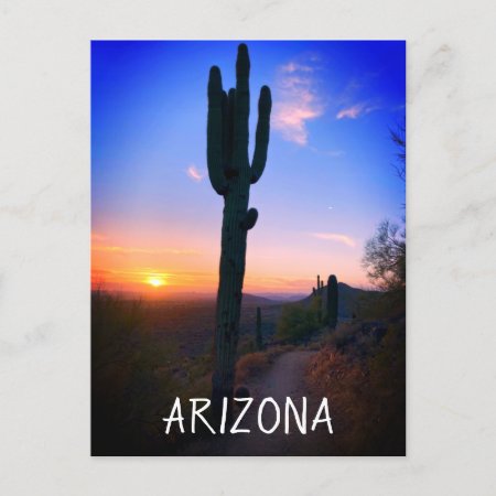 Arizona Saguaro Cactus Sunset Souvenir Travel Postcard