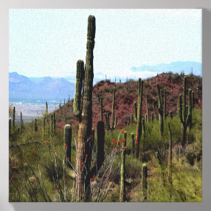 Arizona saguaro mountain landscape canvas photo tile
