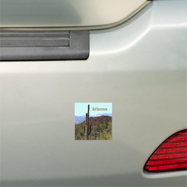 Arizona saguaro mountain landscape  car magnet (In Situ)