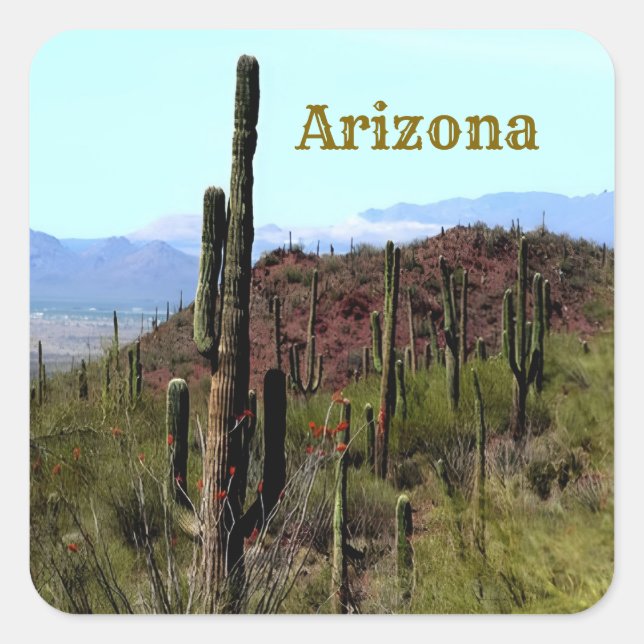 Arizona saguaro mountain landscape  square sticker (Front)