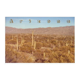 Arizona Saguaros Acrylic Print