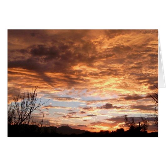 "Arizona Show" (Front Horizontal)