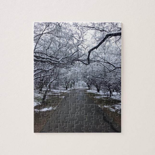 Arizona Snow Scene Puzzle - Medium 110 Pieces (Vertical)