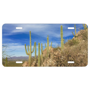 Arizona Sonoran Desert Photo License Plate