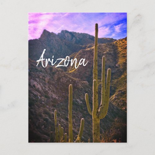 Arizona Southwest Sonoran Desert Postcard